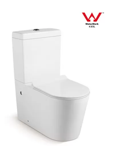 Washdown Close Coupled Toilet